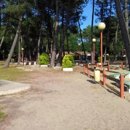 Chalet Cosy A Mestras Avec Piscine Partagee * Gujan-Mestras